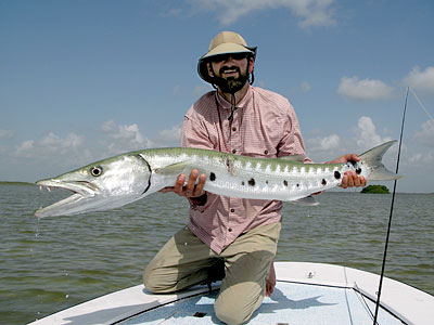 Barracuda_ph_alb_051020112650.jpg