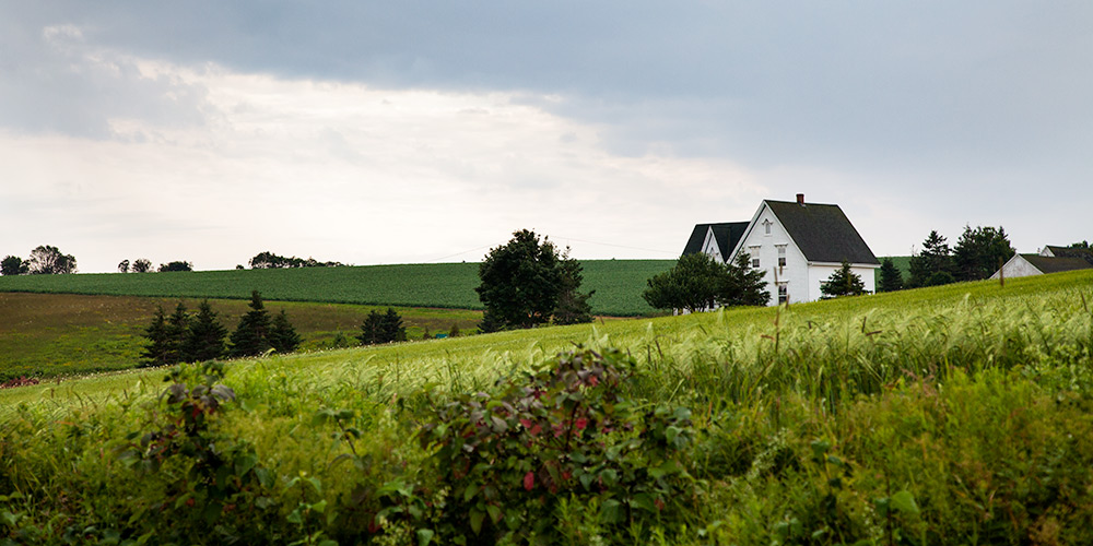 Green-Gable11.jpg