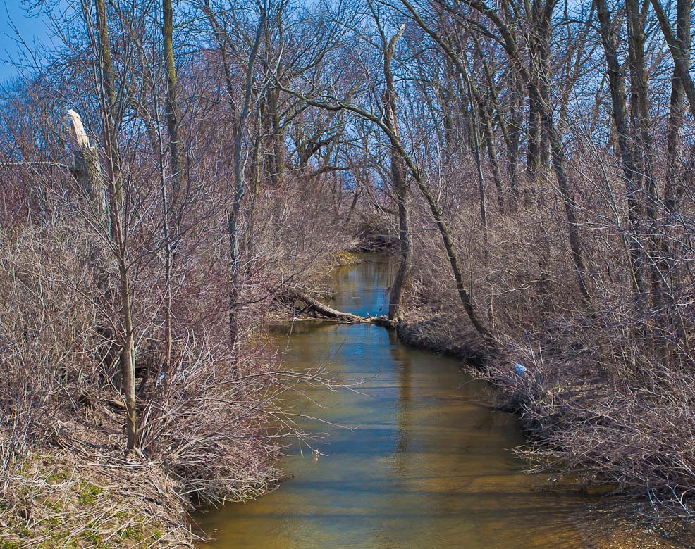 creek-1.jpg