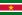 22px-Flag_of_Suriname.svg.png