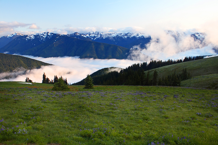 100532944.YEjfhbjZ.hurricane_ridge5.jpg