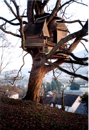 tree house.jpg